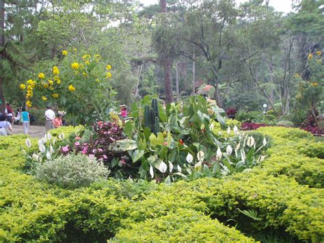 botanical gardens philippines|10 extraordinary botanical gardens you must see before you die.